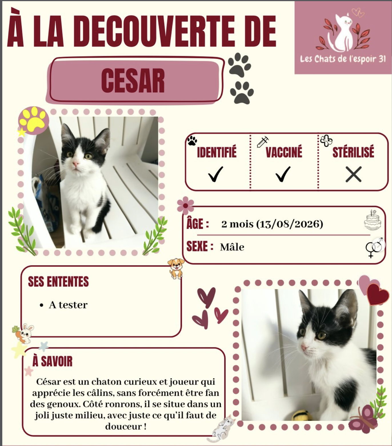 Cesar