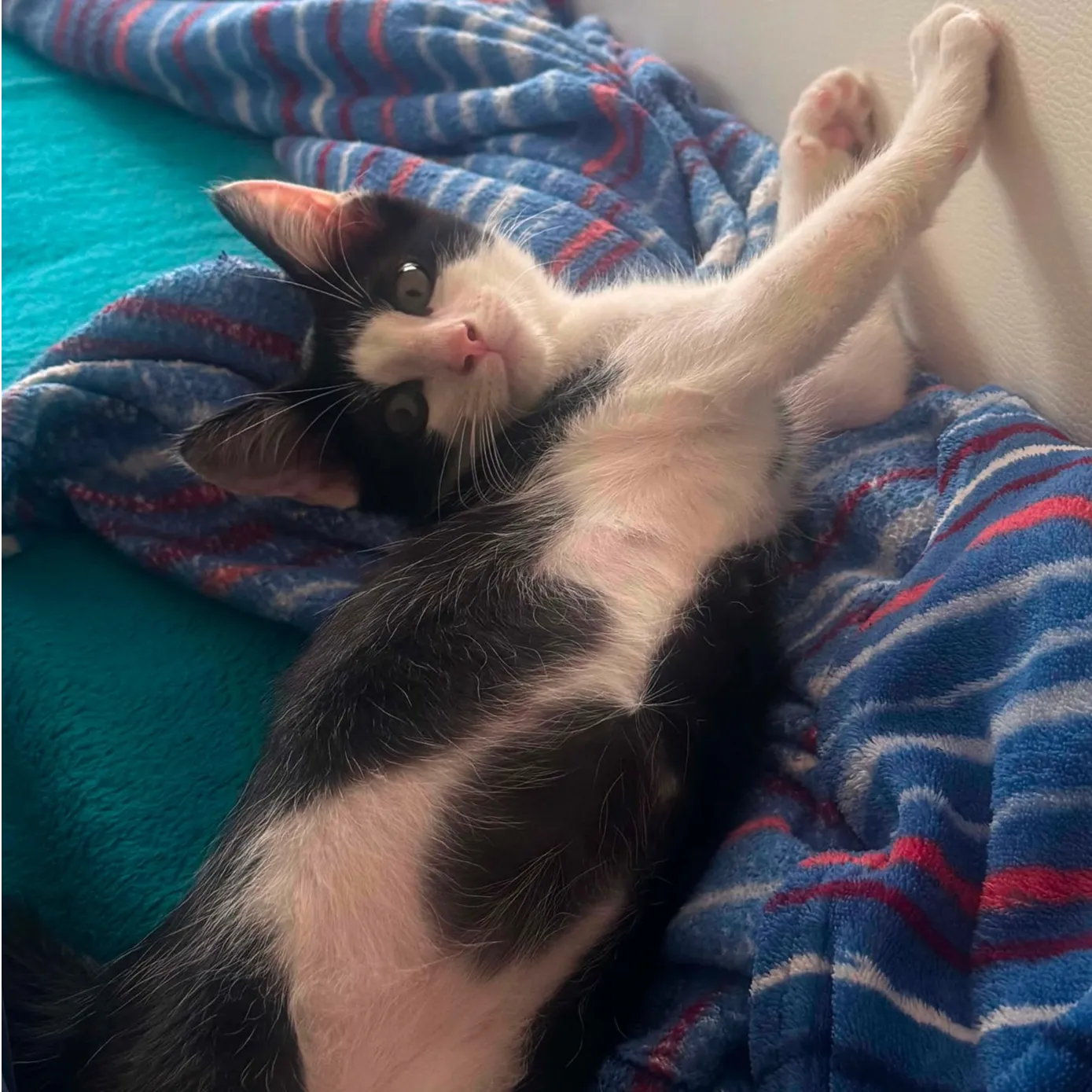 CHARLIE