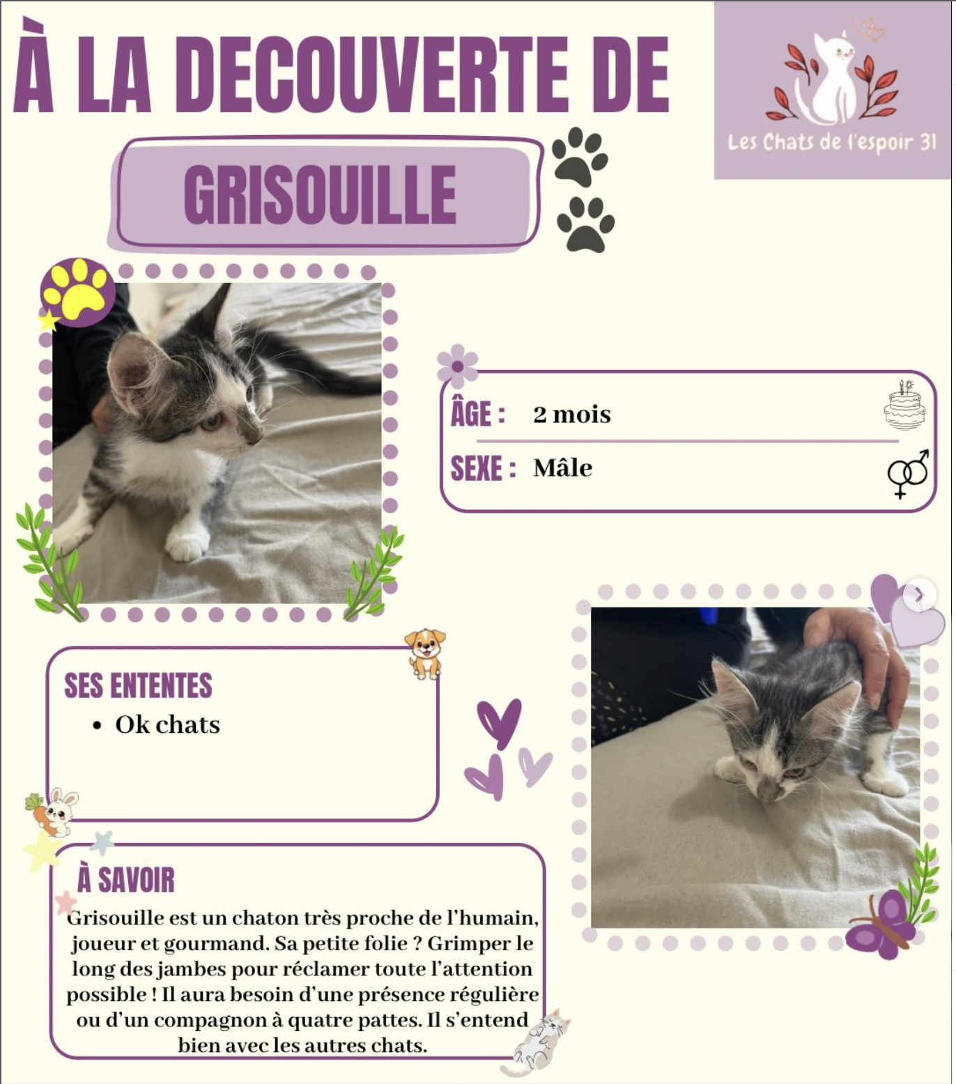 Grisouille