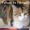 Nymphe