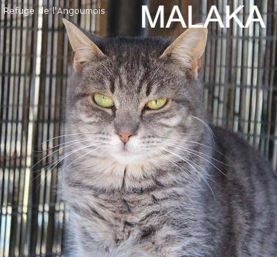 Malaka