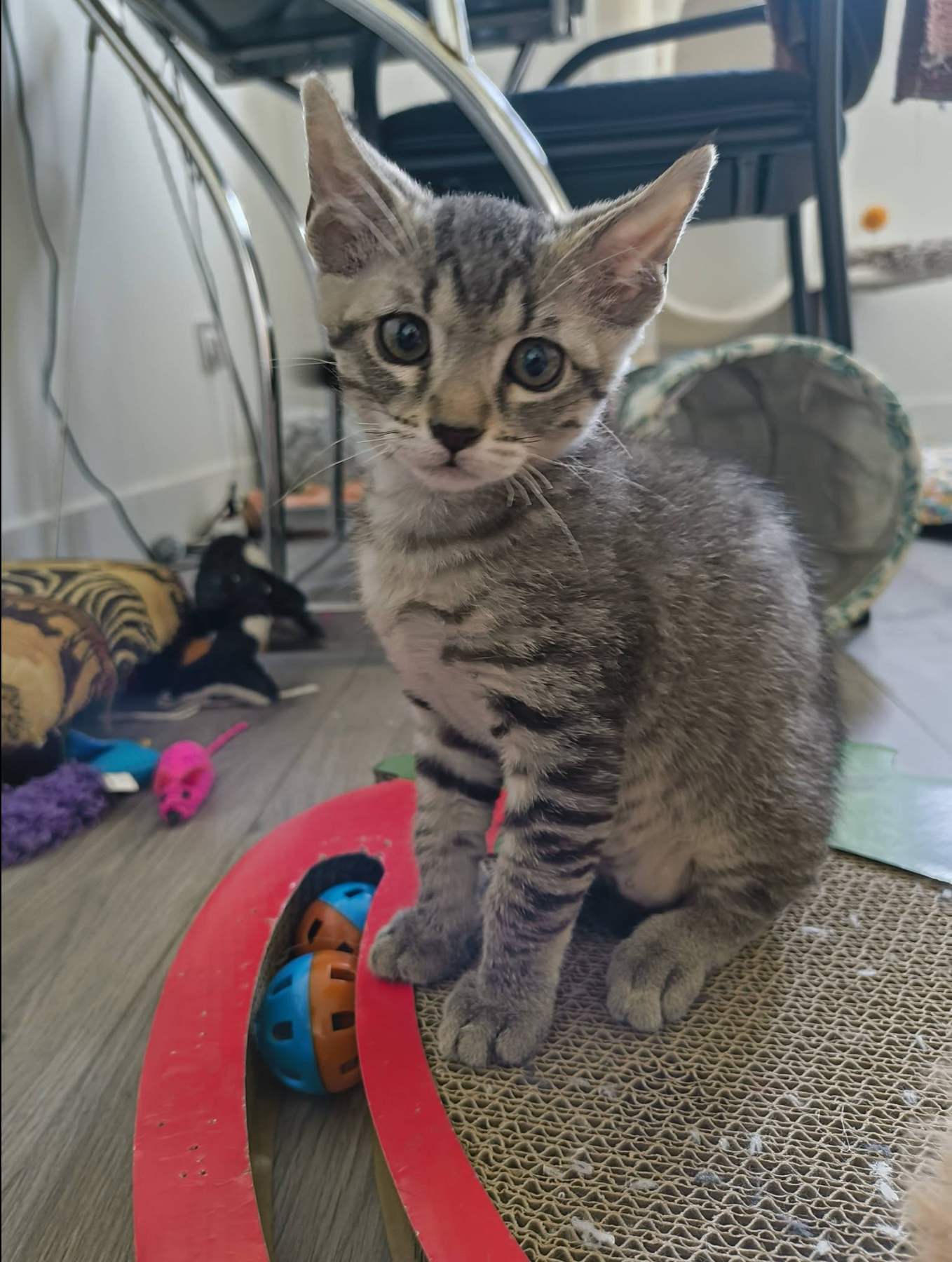 Benny