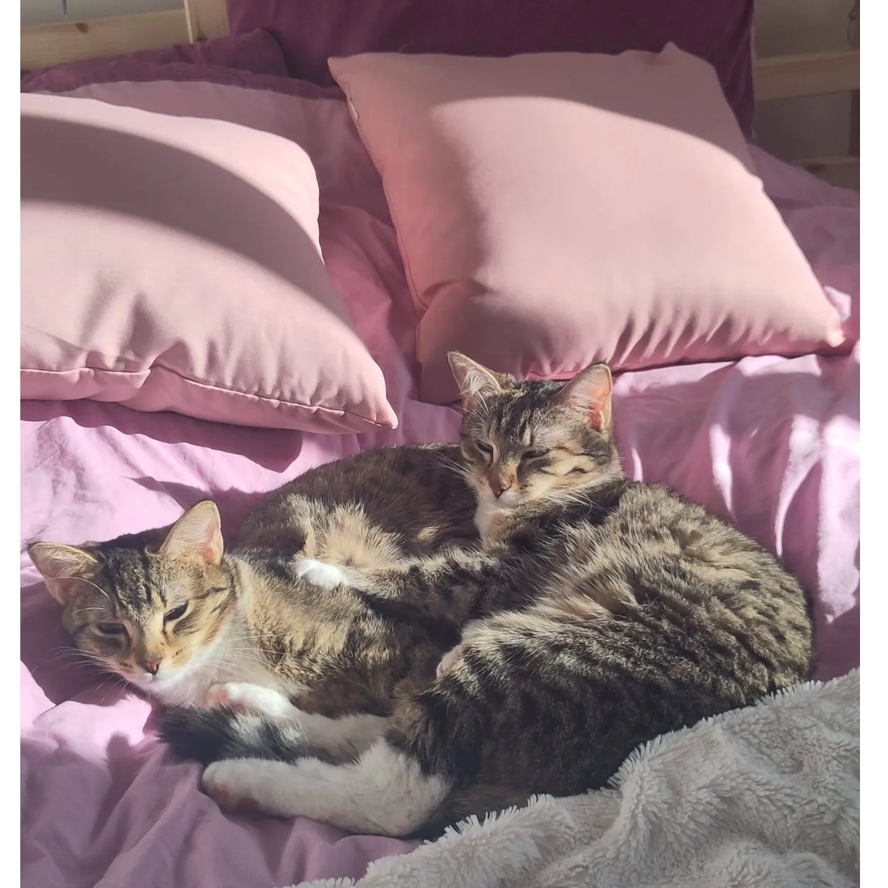 Baya et Lexie