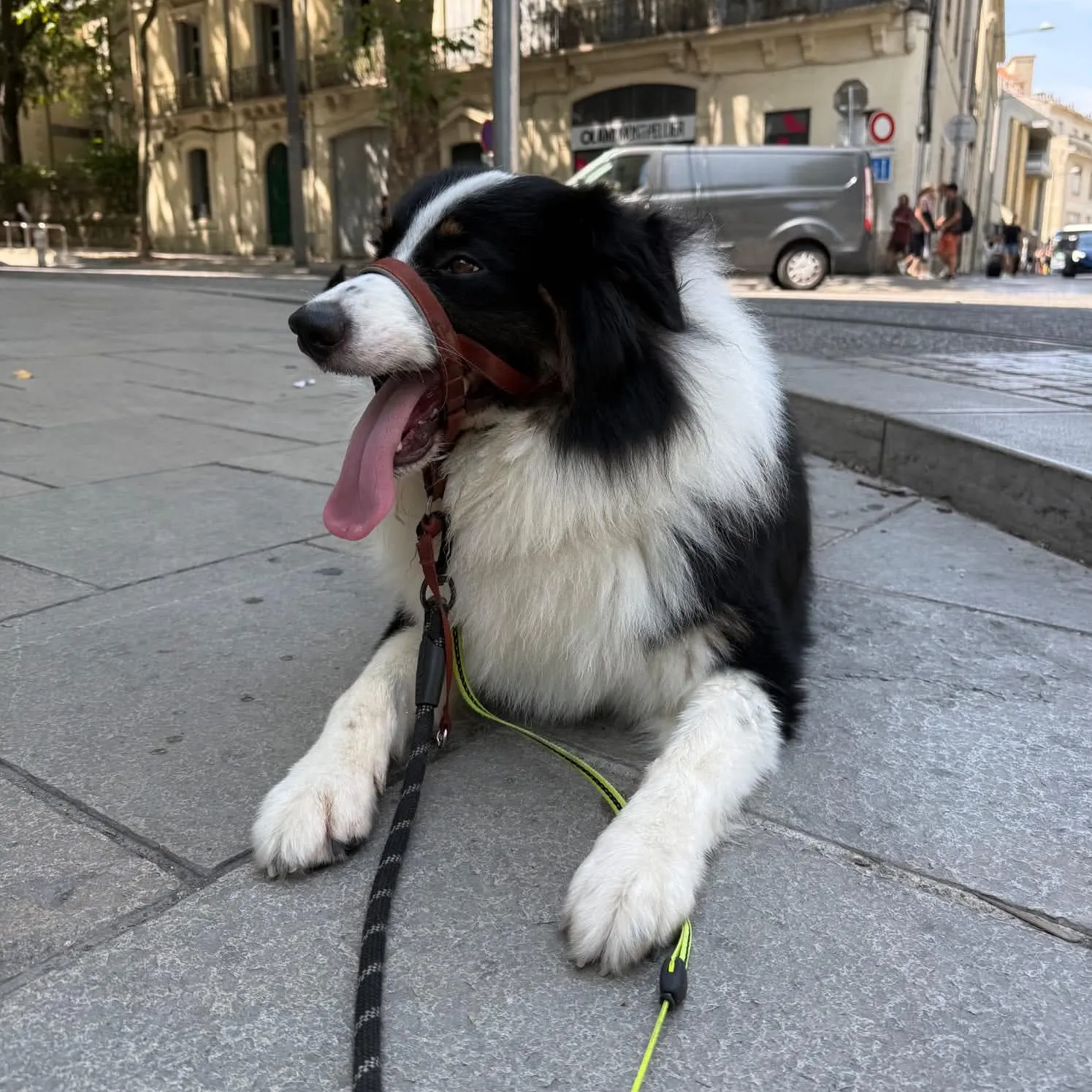 CESAR