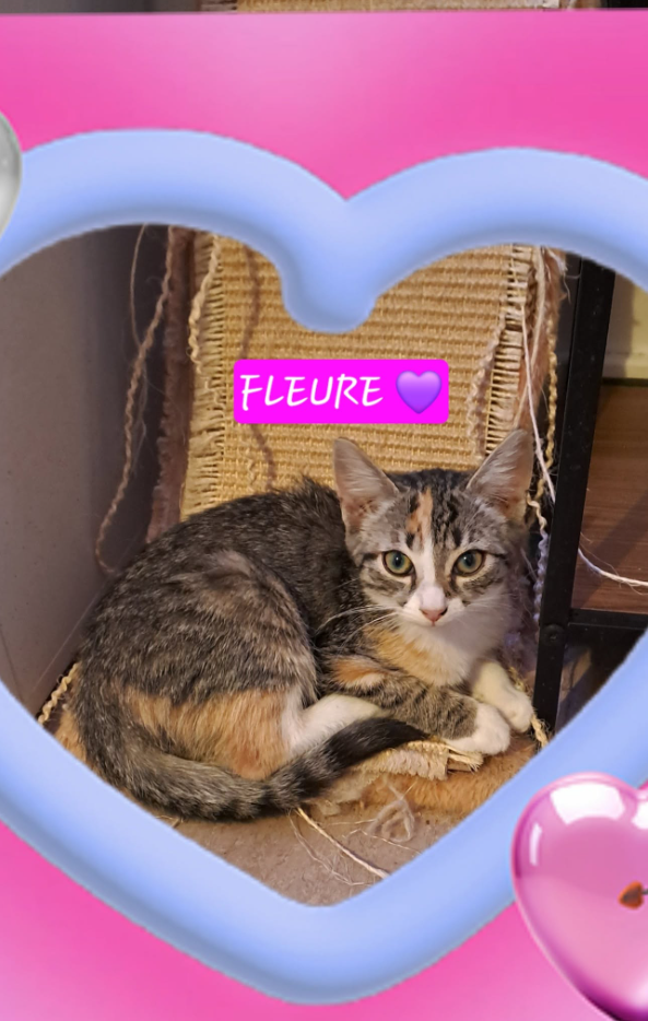Fleure