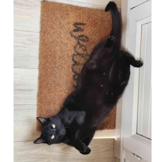 O'Malley