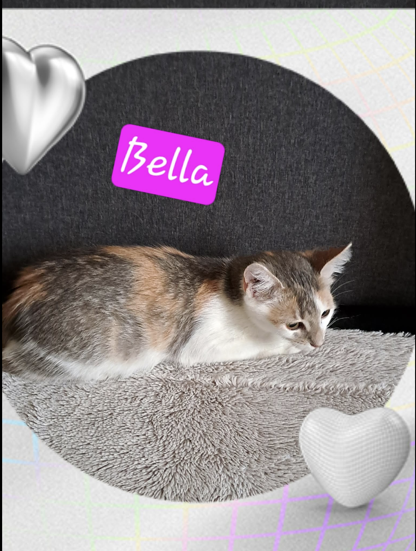 Bella