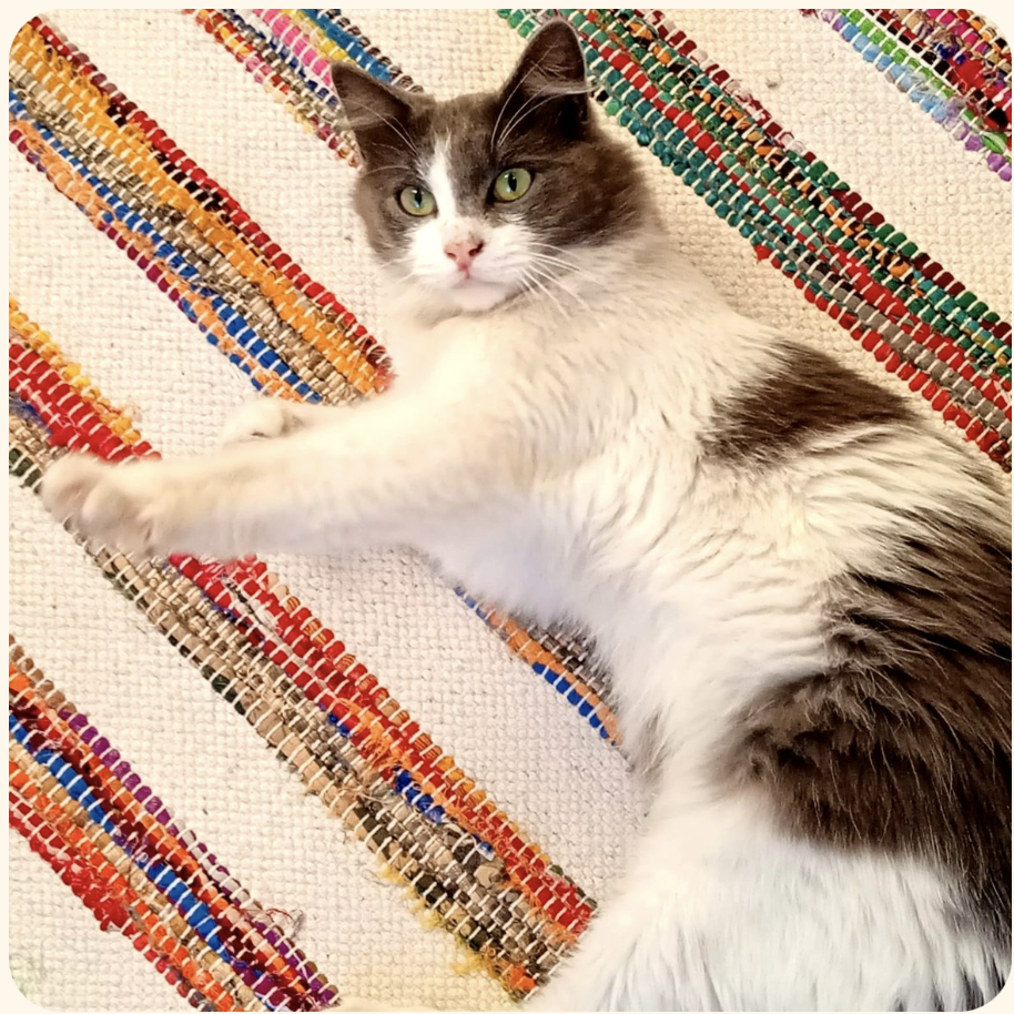 Berlioz