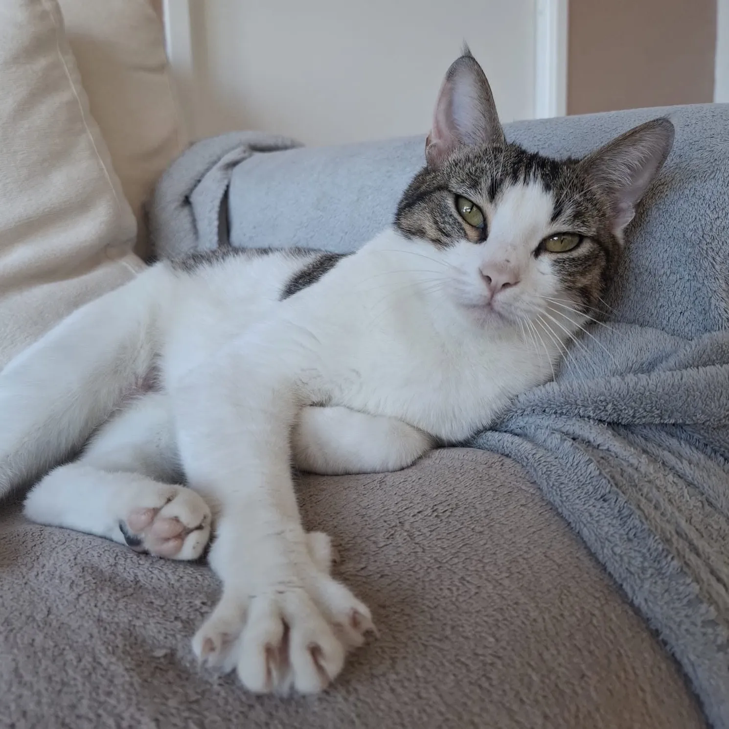 CARLA