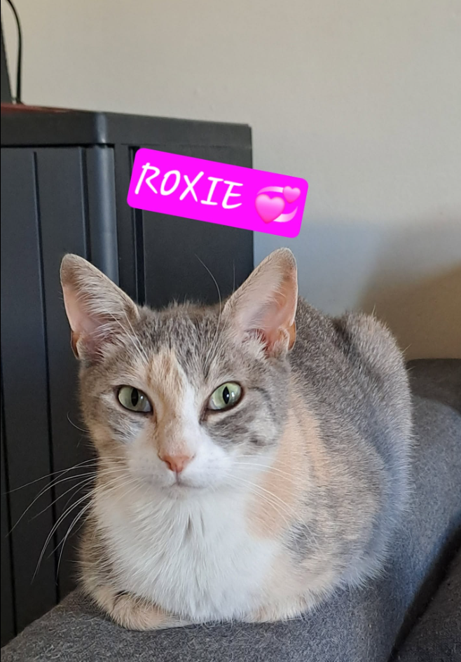 Roxie
