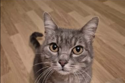 Happy