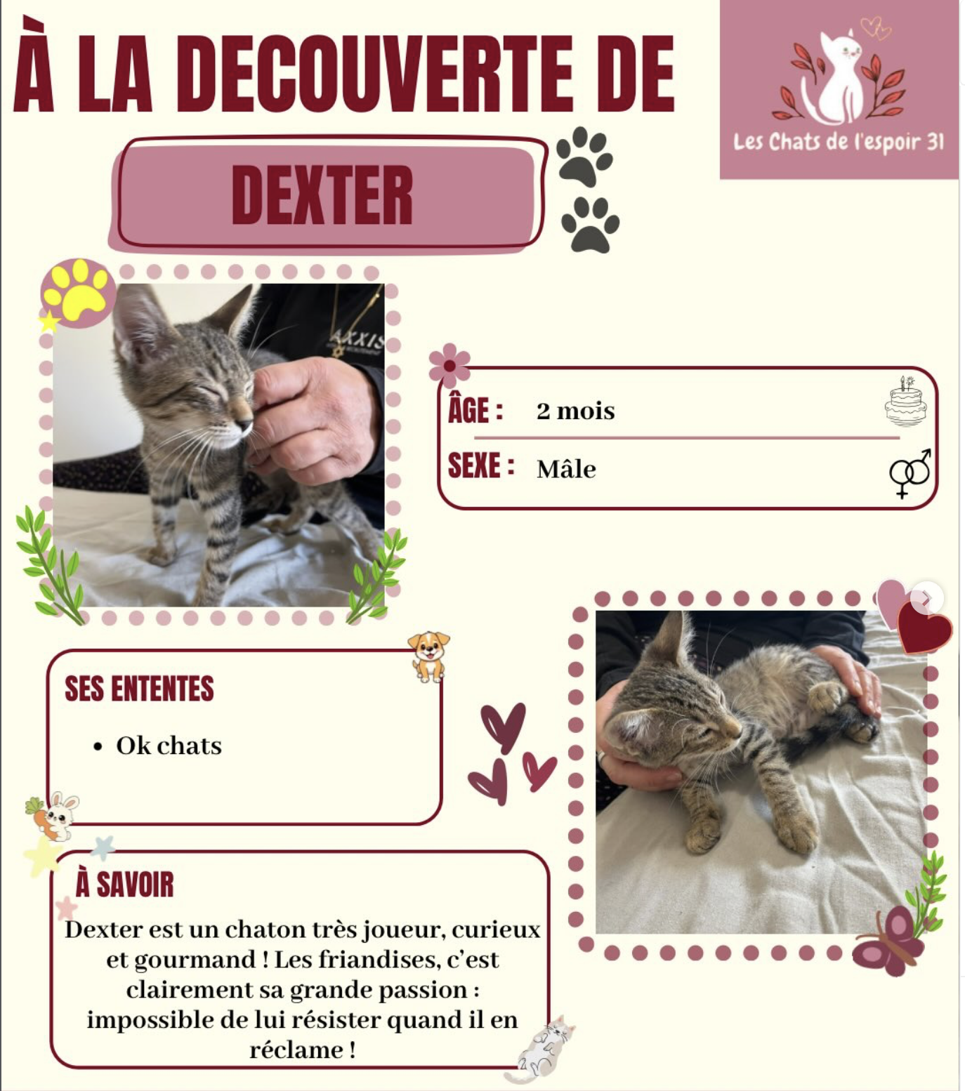 Dexter