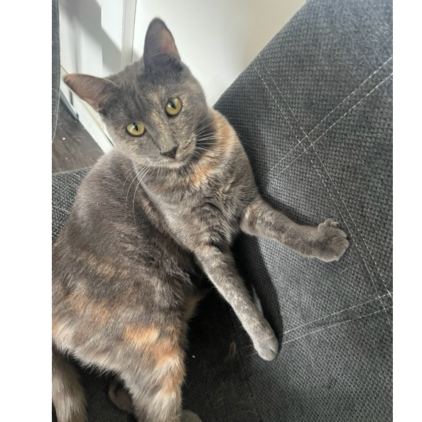 Aika